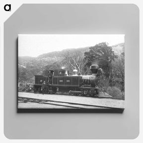 2-23_The-Burton-Brothers_canvas