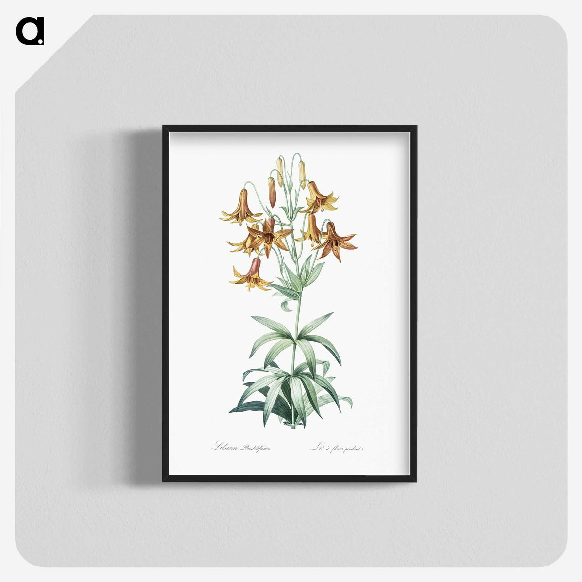 2-23_The-Lilies_blk-crop