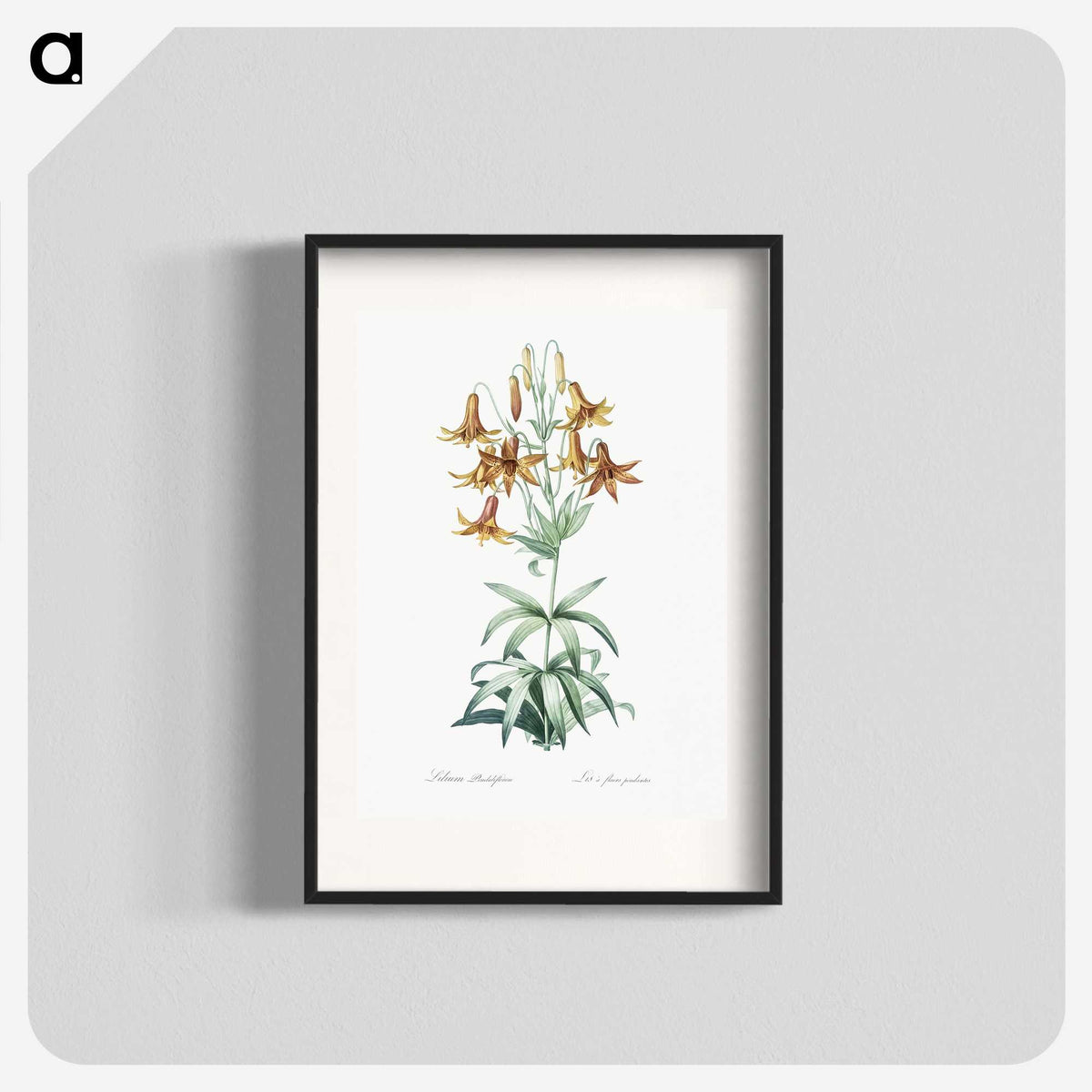 2-23_The-Lilies_blk