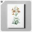 2-23_The-Lilies_canvas