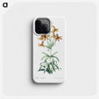2-23_The-Lilies_phone