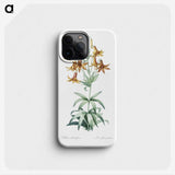 2-23_The-Lilies_phone