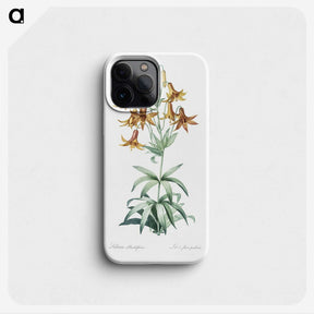 2-23_The-Lilies_phone