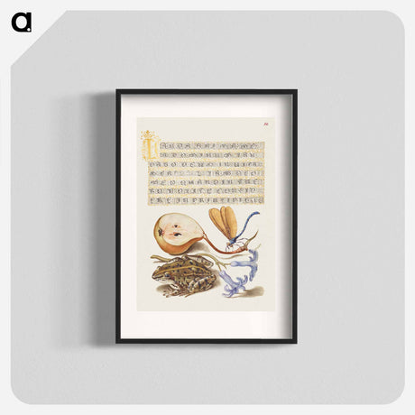アートポスター-Common Pear, Lake Demoiselle, Moor Frog, and Hyacinth from Mira Calligraphiae Monumenta
 - 書道のお手本 Poster.