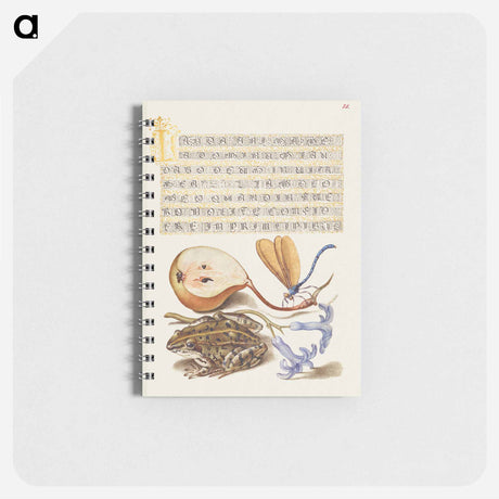 アートメモ帳-Common Pear, Lake Demoiselle, Moor Frog, and Hyacinth from Mira Calligraphiae Monumenta
 - 書道のお手本 Memo.