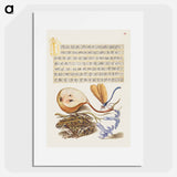 アートポスター-Common Pear, Lake Demoiselle, Moor Frog, and Hyacinth from Mira Calligraphiae Monumenta
 - 書道のお手本 Poster.