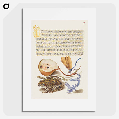 アートポスター-Common Pear, Lake Demoiselle, Moor Frog, and Hyacinth from Mira Calligraphiae Monumenta
 - 書道のお手本 Poster.