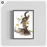 2-23_The-Viviparous-Quadrupeds_blk-crop