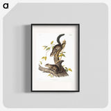 2-23_The-Viviparous-Quadrupeds_blk