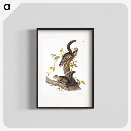 2-23_The-Viviparous-Quadrupeds_blk