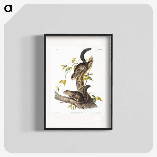 2-23_The-Viviparous-Quadrupeds_blk