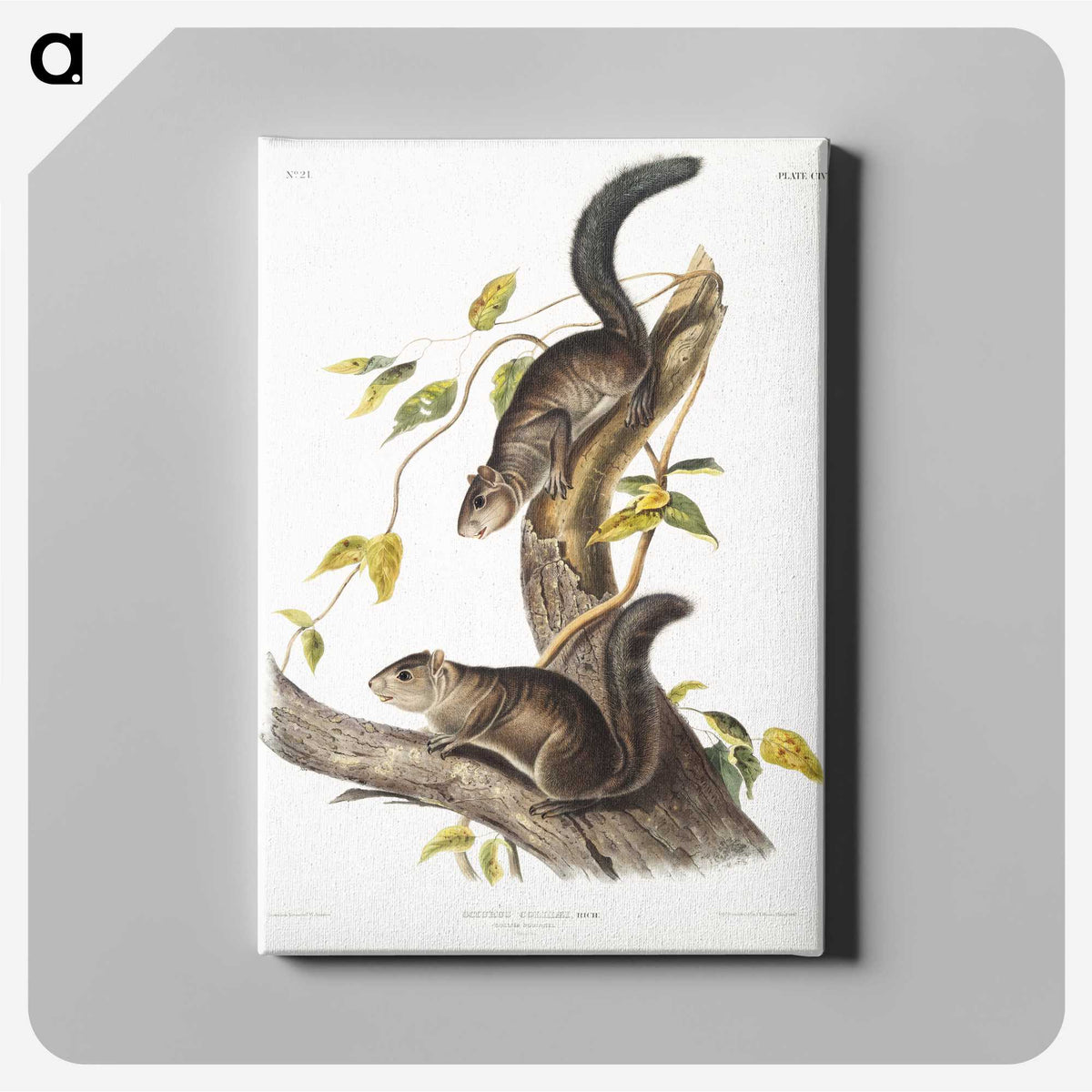 2-23_The-Viviparous-Quadrupeds_canvas