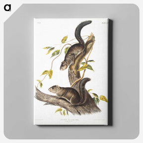 2-23_The-Viviparous-Quadrupeds_canvas