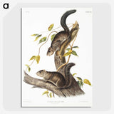 2-23_The-Viviparous-Quadrupeds_picture-crop