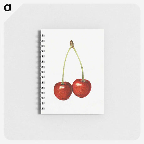 2-23_USDA-Watercolor-Fruit-Painting-Collection_memo