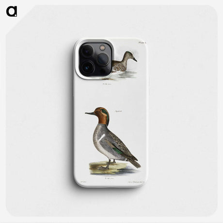 2-23_Zoology-of-New-York_phone