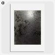 2-24_Alfred-Stieglitz_picture