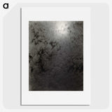 2-24_Alfred-Stieglitz_picture