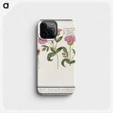 2-24_Anselmus-Boetius-de-Boodt_phone