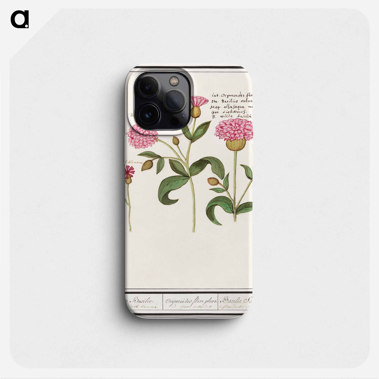Cuckoo flower, Silene dioica - アンセルムス ボエティウス デ ブート Phone Case.