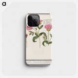 Cuckoo flower, Silene dioica - アンセルムス ボエティウス デ ブート Phone Case.