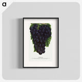 2-24_Botanical-Specimen-Plates_blk