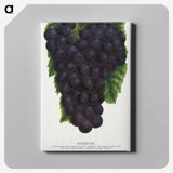 2-24_Botanical-Specimen-Plates_canvas