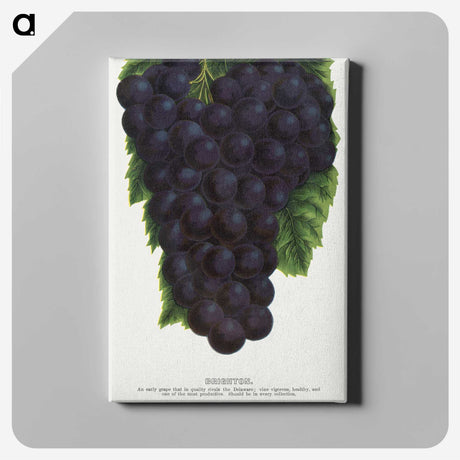 2-24_Botanical-Specimen-Plates_canvas