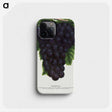 2-24_Botanical-Specimen-Plates_phone