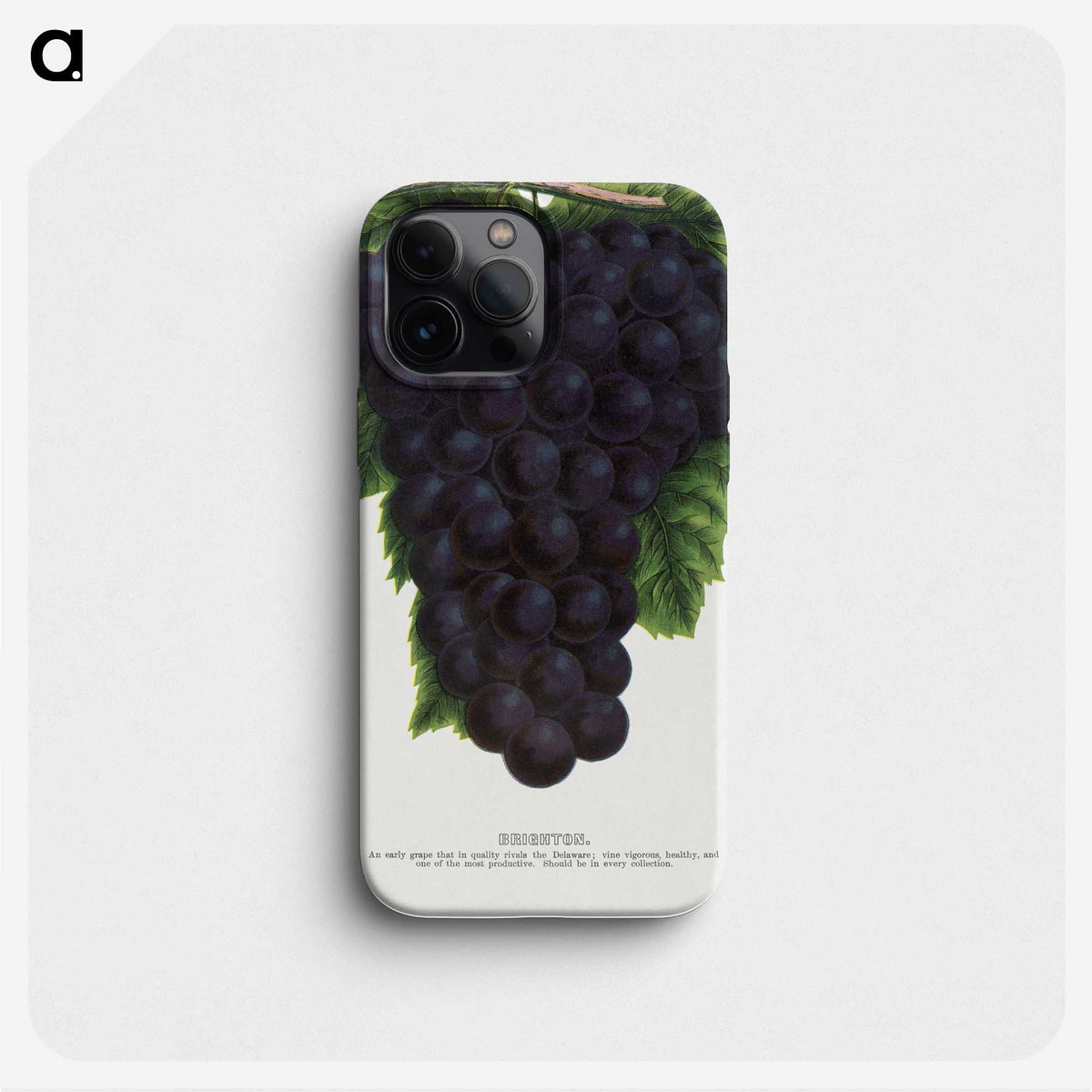 2-24_Botanical-Specimen-Plates_phone