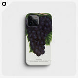 2-24_Botanical-Specimen-Plates_phone