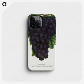 2-24_Botanical-Specimen-Plates_phone