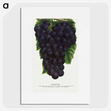 2-24_Botanical-Specimen-Plates_picture