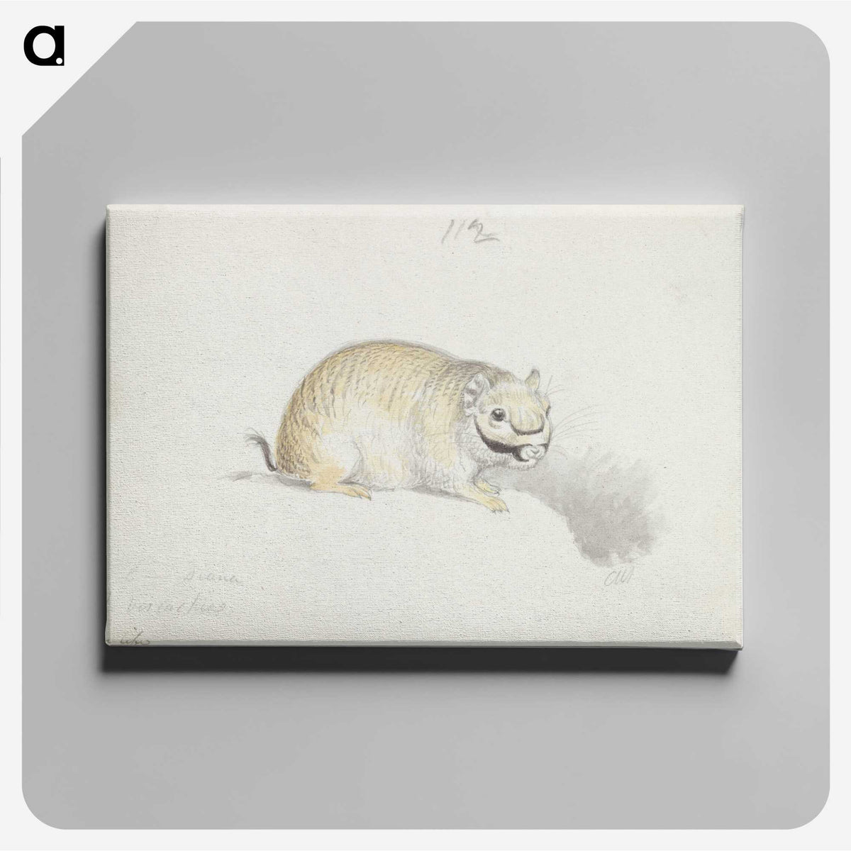 2-24_Charles-Hamilton-Smith_canvas