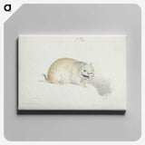 2-24_Charles-Hamilton-Smith_canvas