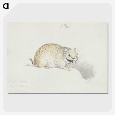 2-24_Charles-Hamilton-Smith_picture-crop