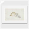 2-24_Charles-Hamilton-Smith_picture