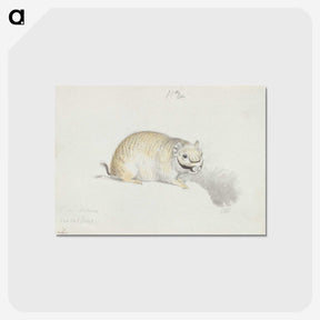 2-24_Charles-Hamilton-Smith_postcard