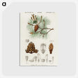 2-24_Christmas_postcard