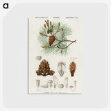 2-24_Christmas_postcard