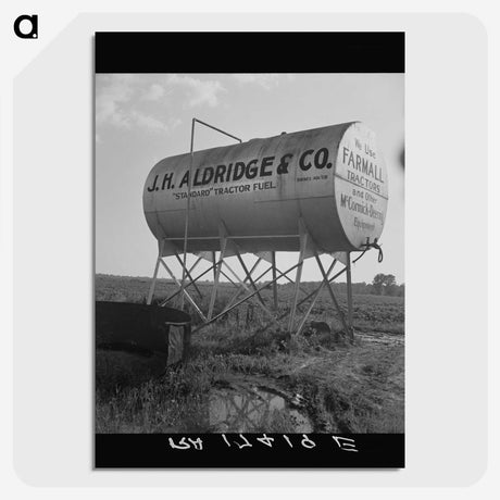 2-24_Dorothea-Lange_picture-crop