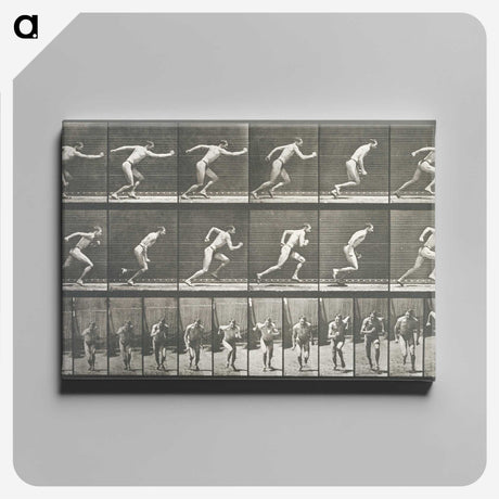 2-24_Eadweard-Muybridge_canvas