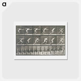 アートポストカード-Starting for a Run
 - エドワード マイブリッジ Postcard.