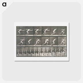 アートポストカード-Starting for a Run
 - エドワード マイブリッジ Postcard.