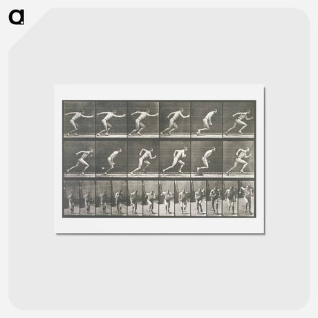 アートポストカード-Starting for a Run
 - エドワード マイブリッジ Postcard.