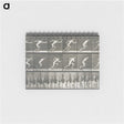 2-24_Eadweard-Muybridge_memo