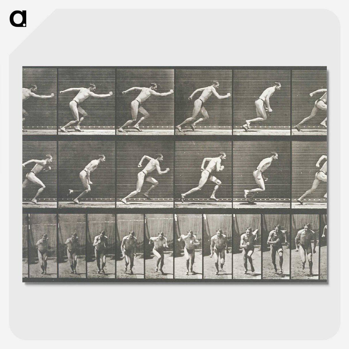 2-24_Eadweard-Muybridge_picture-crop