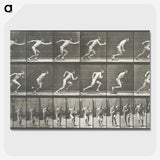 2-24_Eadweard-Muybridge_picture-crop