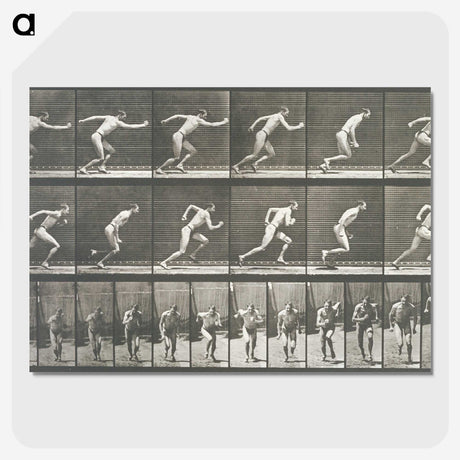 2-24_Eadweard-Muybridge_picture-crop