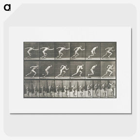 2-24_Eadweard-Muybridge_picture